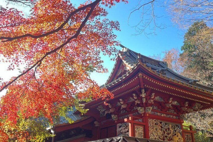 A traditional Japanese building with ornate architecture, surrounded by autumn foliage. 4
