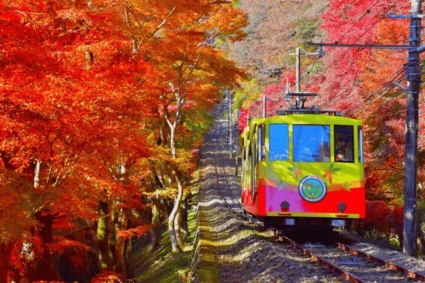 A colorful tram on a railway track surrounded by autumn trees. 1