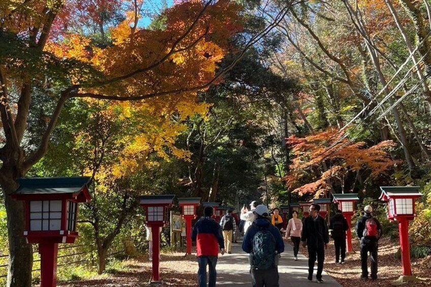 A pathway lined with traditional red lanterns, surrounded by autumn-colored trees. 2
