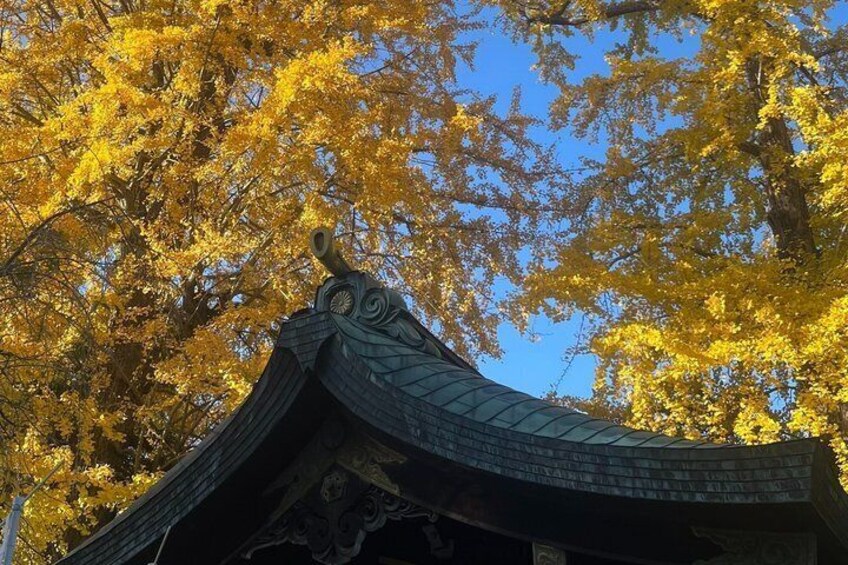 A traditional roof with intricate designs, surrounded by autumn-colored trees. 3