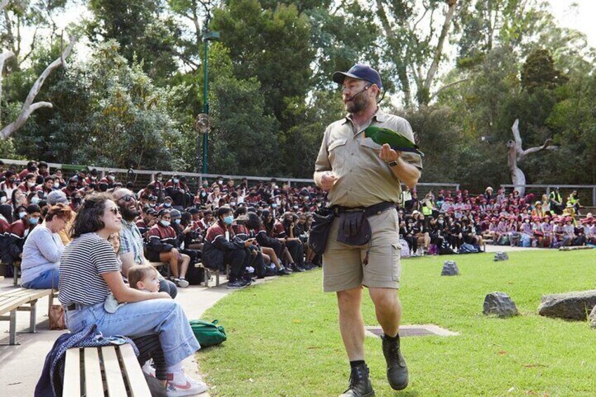 Daily bird show at Healesville Sanctuary, Yarra Valley. 1