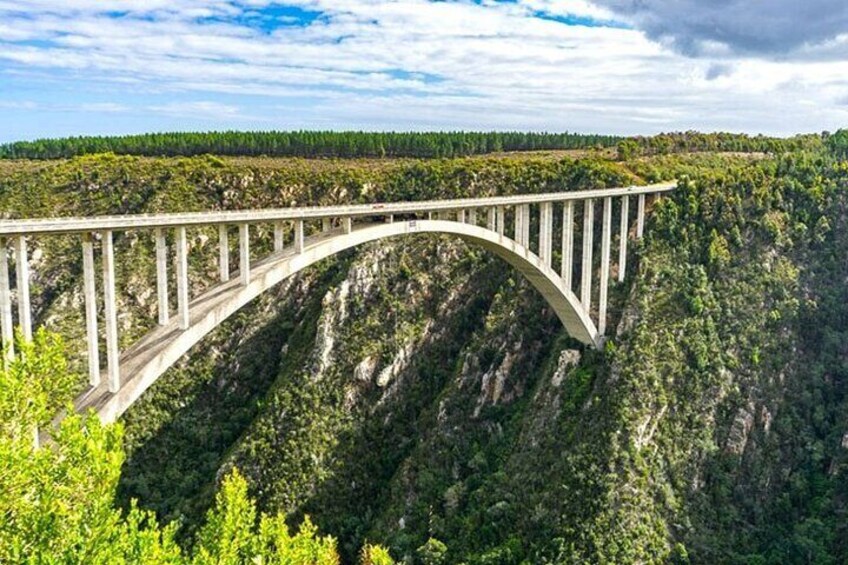 A bridge spanning a deep gorge with steep cliffs on either side. 4