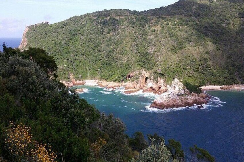 A coastal landscape with a rocky outcrop surrounded by greenery and a clear blue sea. 1