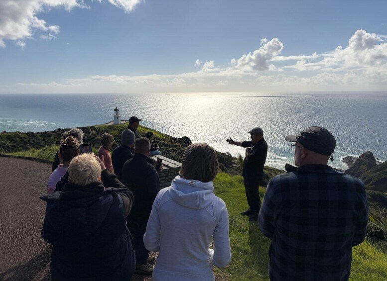 A group of people observing the ocean from a coastal viewpoint with a lighthouse in the distance. 5