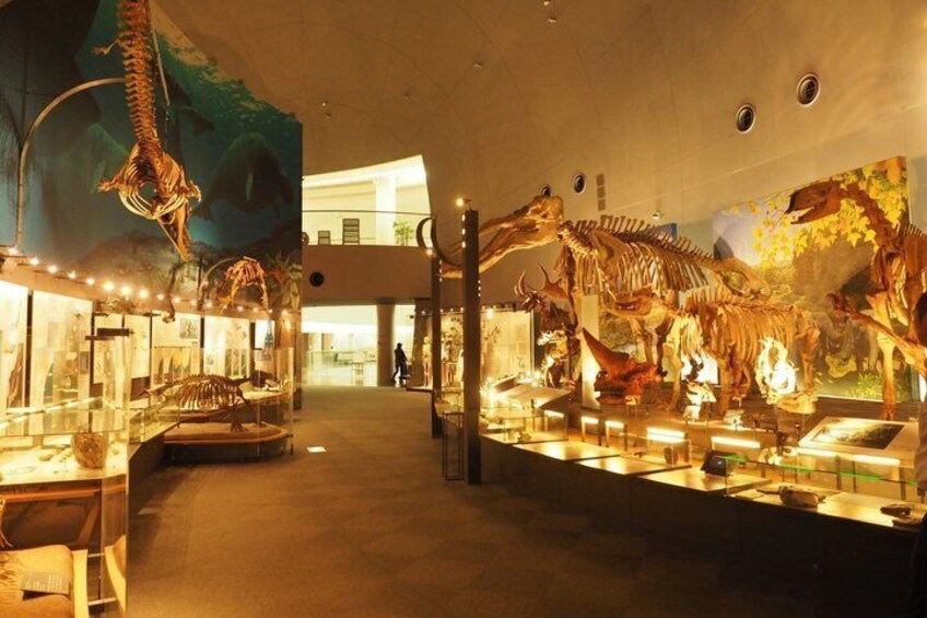 Echizen Daibutsu Day Tour with Transportation from Kanazawa 5