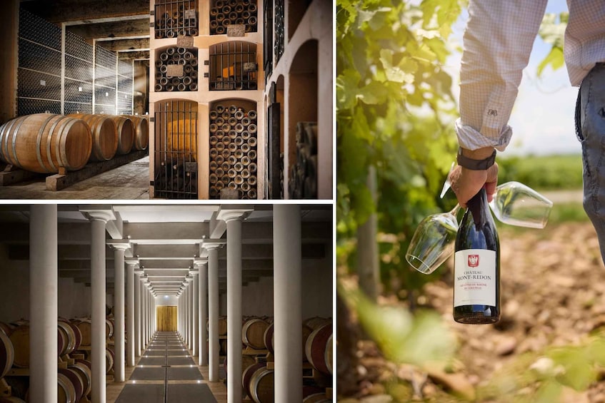 Wine barrels, a wine bottle, and a vineyard. 1