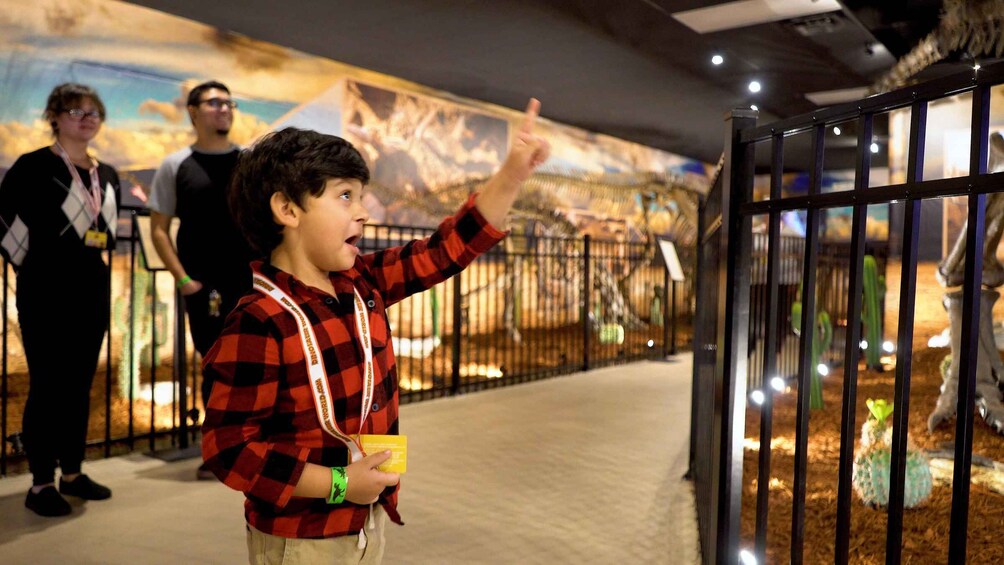 Picture 11 for Activity Tampa: Dinosaur World Admission Ticket 4