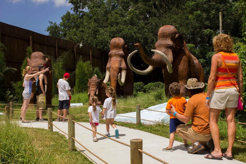 Picture 1 for Activity Tampa: Dinosaur World Admission Ticket 5