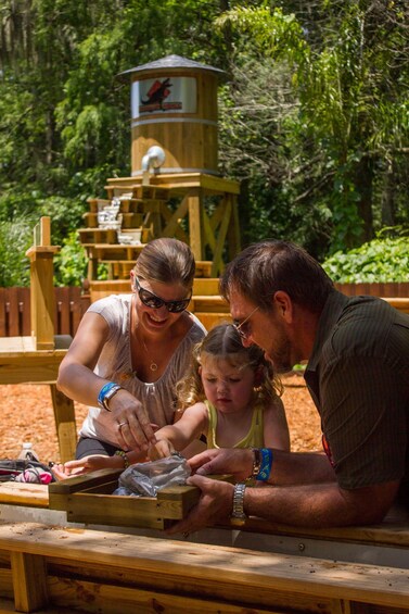 Picture 3 for Activity Tampa: Dinosaur World Admission Ticket 3