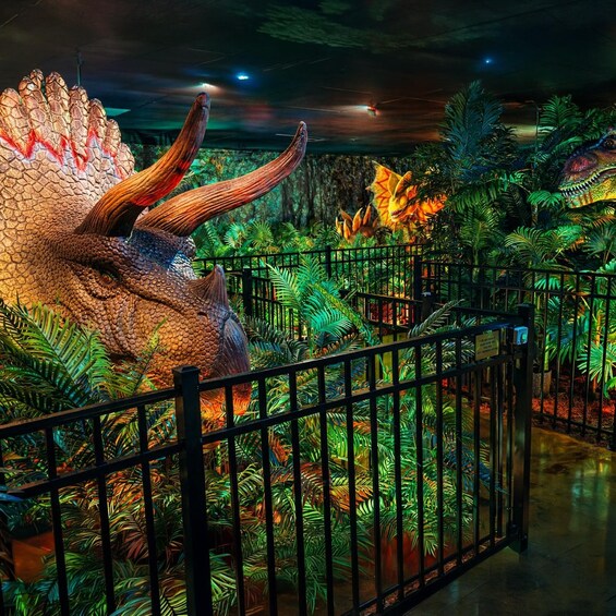 Picture 8 for Activity Tampa: Dinosaur World Admission Ticket 2