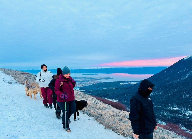 A group of people hiking on a snowy mountain trail with a dog, overlooking a valley and mountains. 4