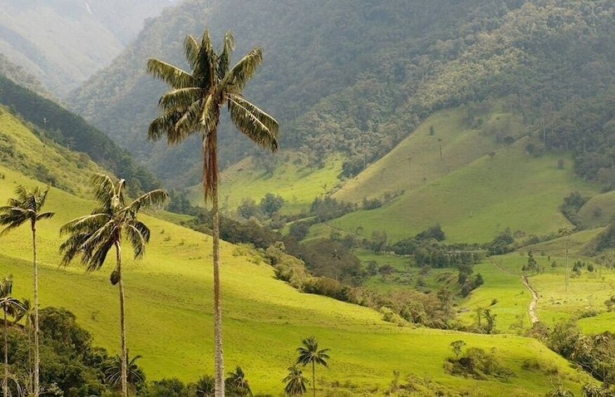 Anamaya Mountains Step Walking Tour 1