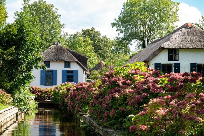 Un canal con casas, una con contraventanas azules, y arbustos florecientes. 2