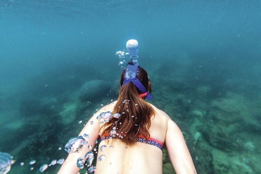 Tip Top Catamaran Snorkeling Tour with Lunch 1