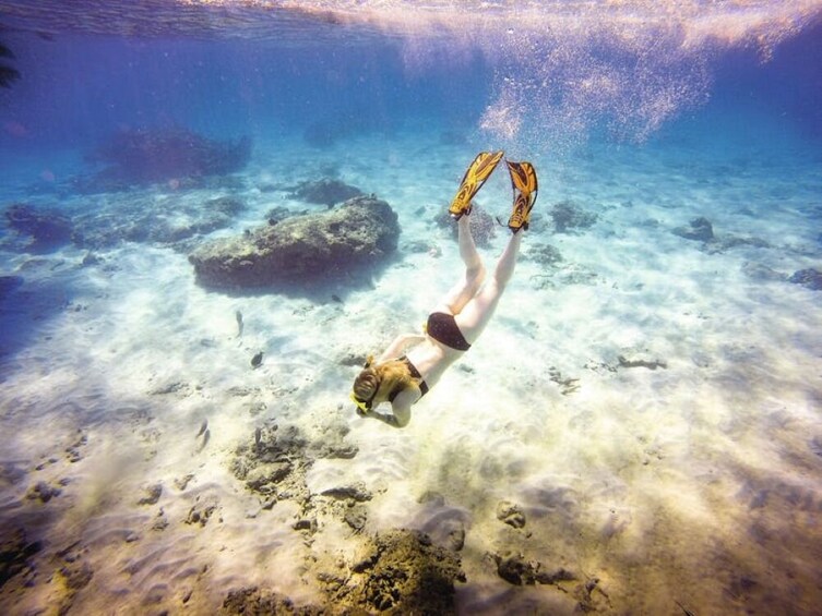 Tip Top Catamaran Snorkeling Tour with Lunch 2