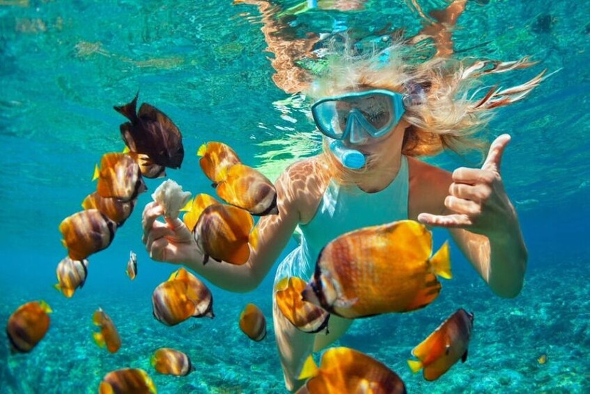 Tip Top Catamaran Snorkeling Tour with Lunch 3
