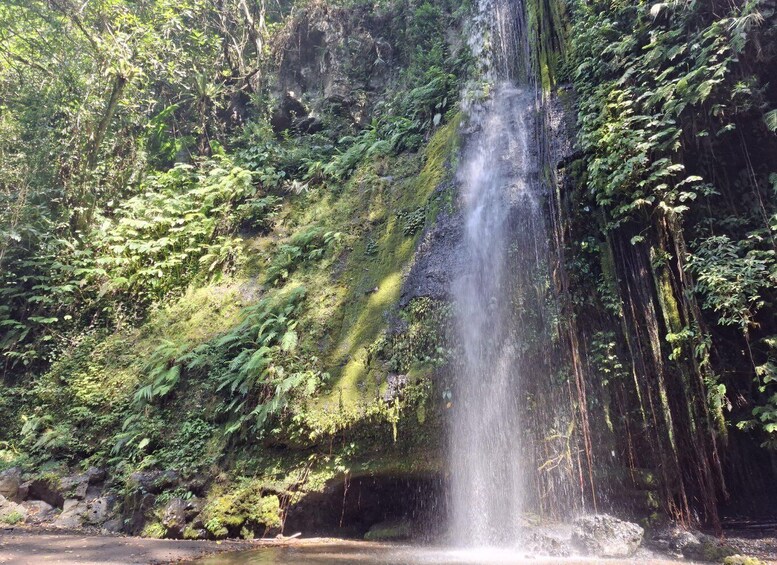 A waterfall cascading down a moss-covered cliff into a pool below. 4