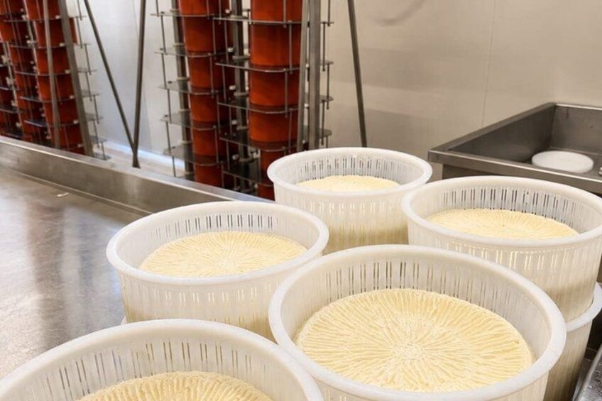 Several white plastic containers with a textured surface, likely for holding or processing food items, in a clean, industrial setting. 1