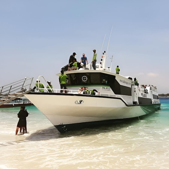 Gili Islands/Lombok: One-Way Fast Boat Ticket to Bali 1