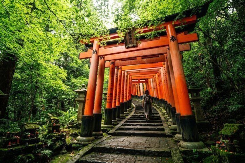A pathway lined with red torii gates leading through a lush forest. 1