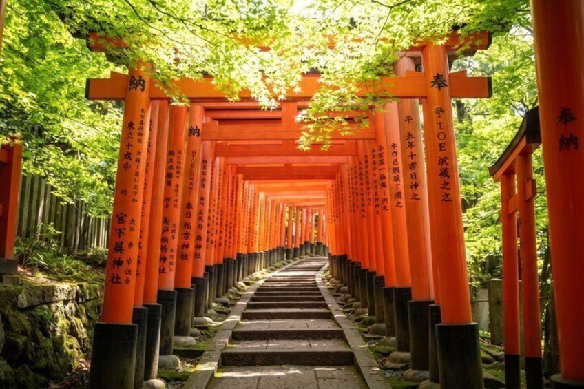 A pathway lined with orange torii gates, leading through a forested area. 5