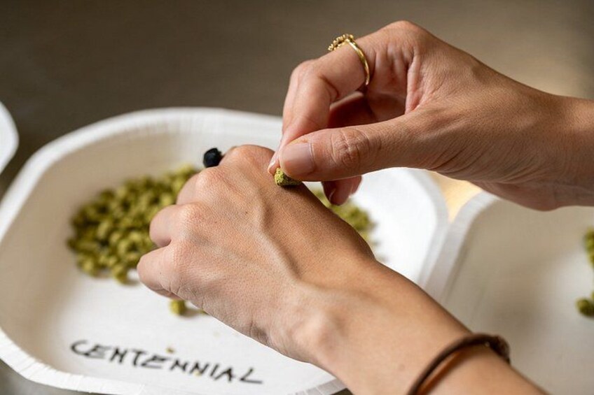 Hands holding a small object over a bowl labeled 'CENTENNIAL'. 5