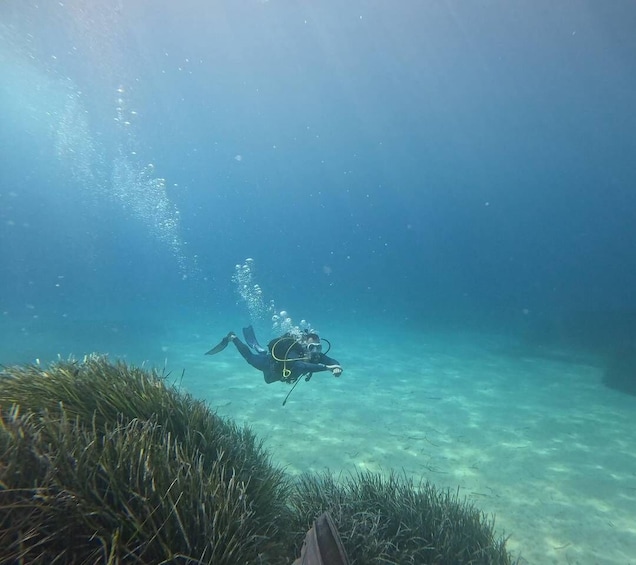 A diver underwater with bubbles, surrounded by clear water and aquatic plants. 4