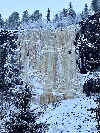 Une cascade gelée, entourée d’arbres couverts de neige. 2