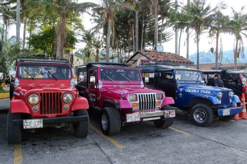 Cocora Valley Salento and Colombian Coffee Farm 4