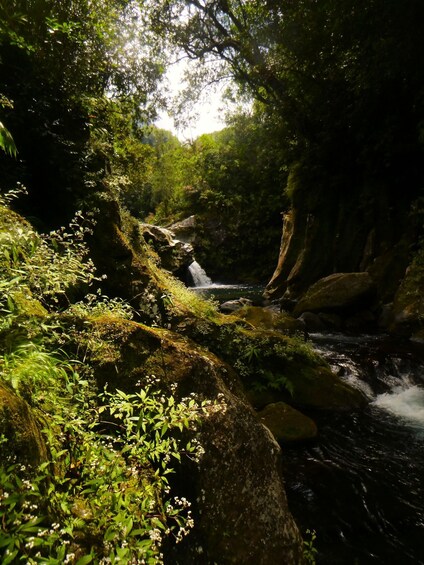 Picture 2 for Activity Petit Galet in the Langevin River: Canyoning in Reunion 2
