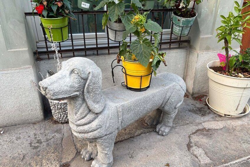 A stone statue of a dog, potted plants, and a metal fence. 5