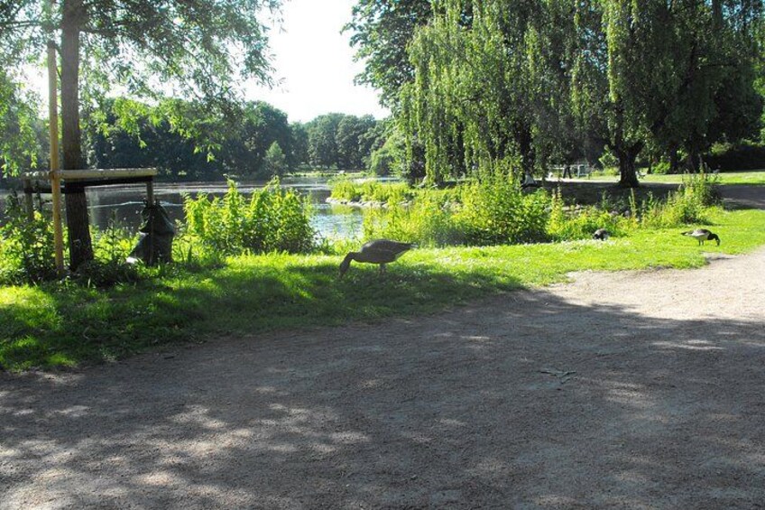 A gravel path, a wooden structure, and a body of water with trees in the background. 2