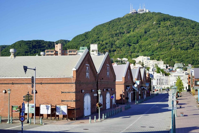 Picture 3 for Activity Hakodate: Private Shore Excursion with Cruise Port Pickup 4