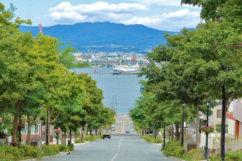 Hakodate: Private Shore Excursion with Cruise Port Pickup 1