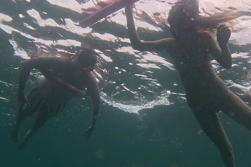 Snorkeling in Paradise 5