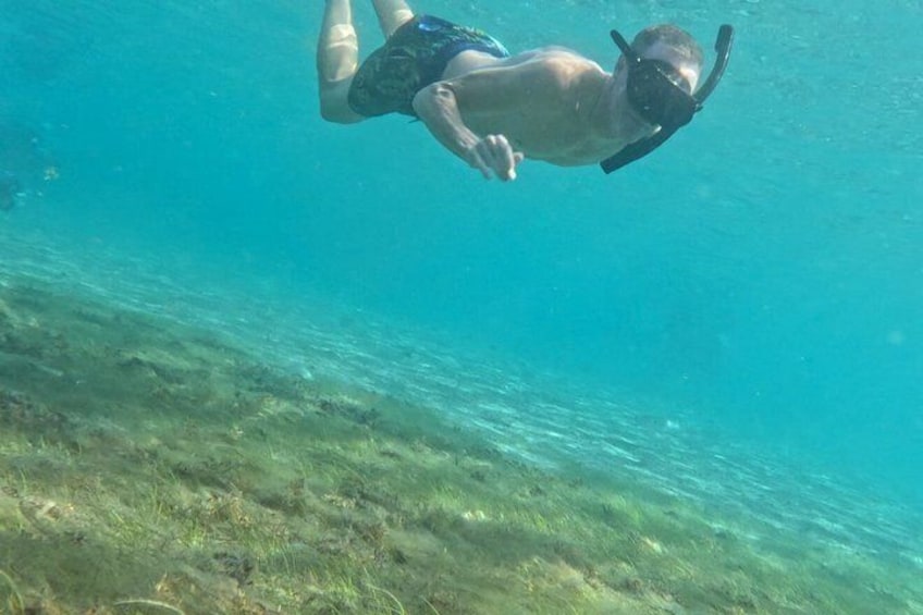 Snorkeling in Paradise 2