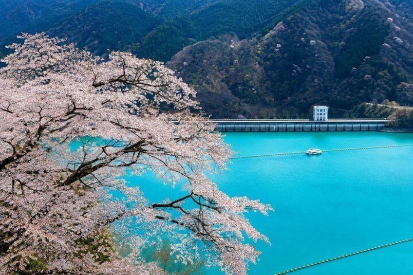 Okutama Mitake Valley Walking Day Tour 1