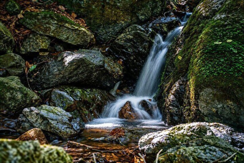 A small waterfall surrounded by rocks and moss. 3
