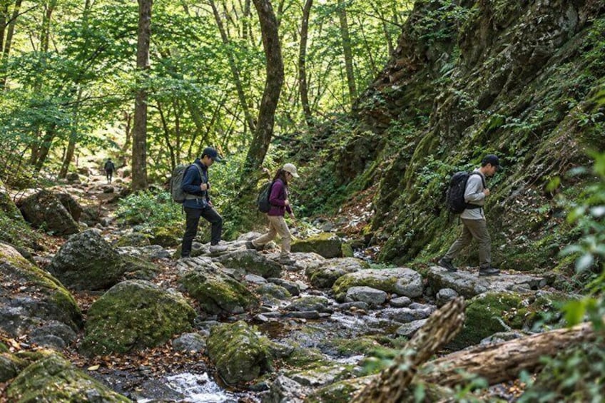 Hikers walking on a rocky trail in a forested area. 4