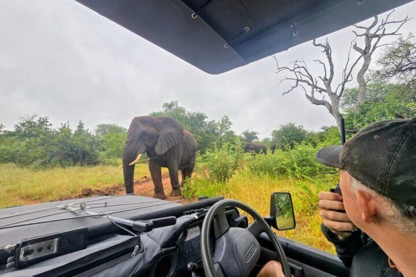 A safari vehicle with a driver and a passenger observing an elephant in a natural landscape. 4