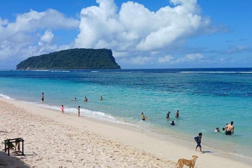 A beach with people swimming and walking, a dog on the sand, and a small island in the background. 5