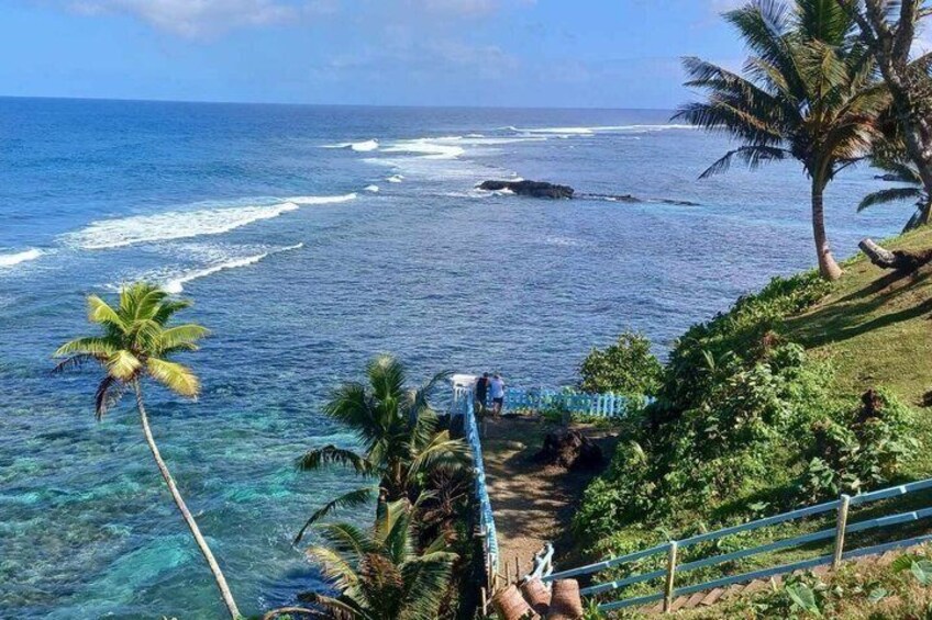 A coastal landscape with clear blue waters, palm trees, and a pathway leading to the beach. 1