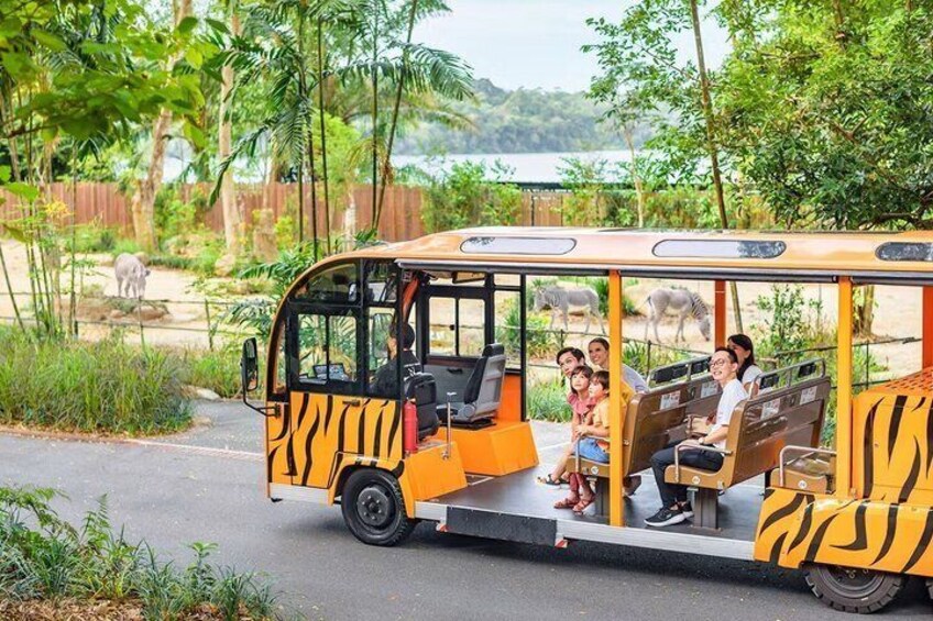 A bus with a tiger design, passengers, and a zoo enclosure with animals in the background. 2
