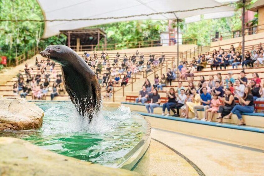 A seal performing a jump in a pool with an audience watching from bleachers. 4