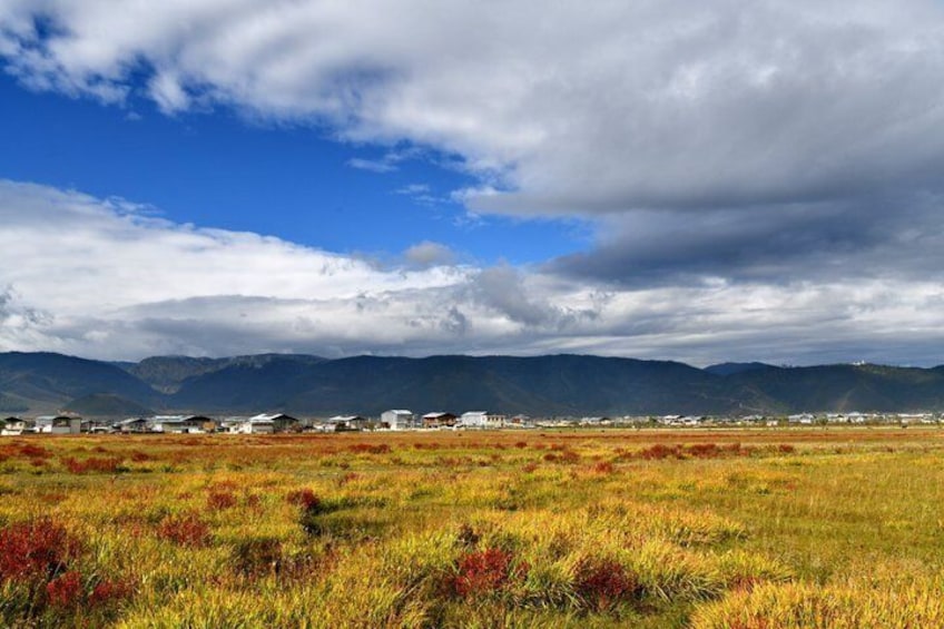 A rural landscape with fields, a few buildings, and mountains in the background. 4