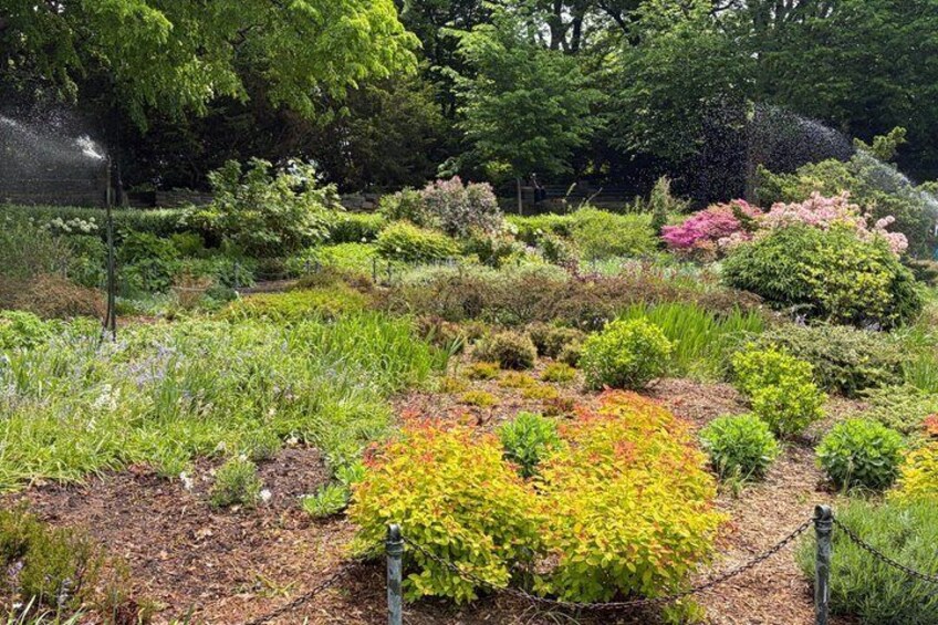 A garden with various shrubs and trees, a sprinkler system, and a fenced area. 1
