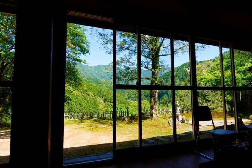 A view through large windows of a lush green landscape with trees and a clear sky. 4