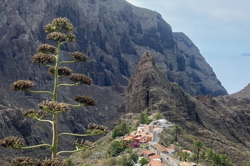 Tour to Masca and Los Gigantes with Natural Pools and Picnic 5