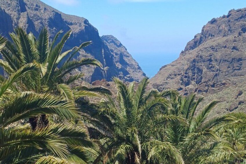 Tour to Masca and Los Gigantes with Natural Pools and Picnic 2