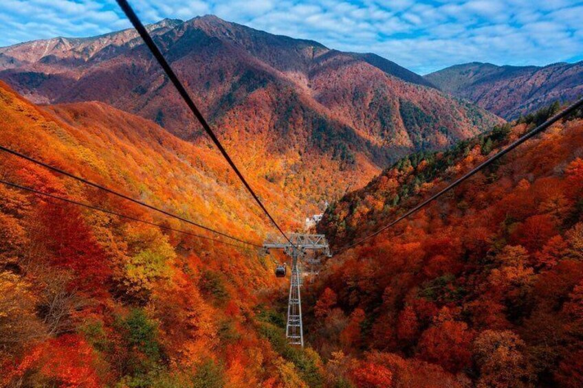 Private Rafting and Takaragawa Onsen Day Tour from Takasaki 2